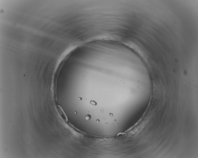 X0000074320902200609082004