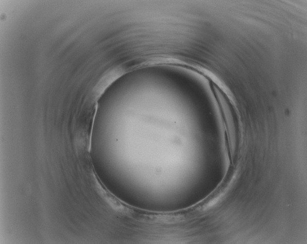 X0000074320905200609082004