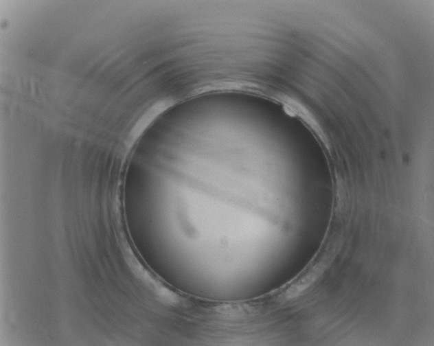 X0000074320906200609082004