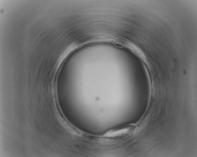 X0000074320907200609082004