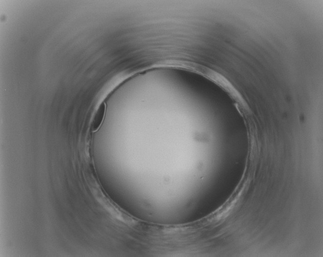 X0000074320908200609082004