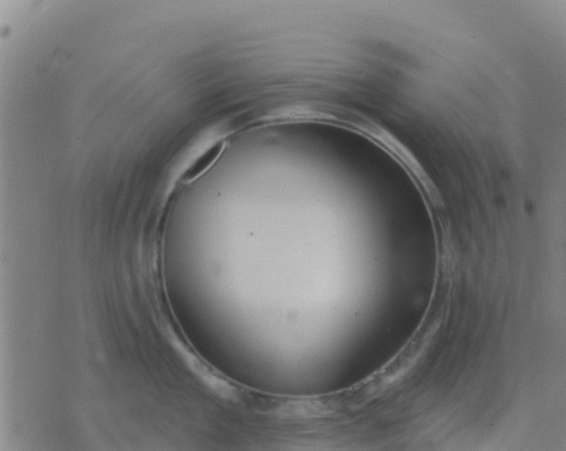 X0000074320909200609082004