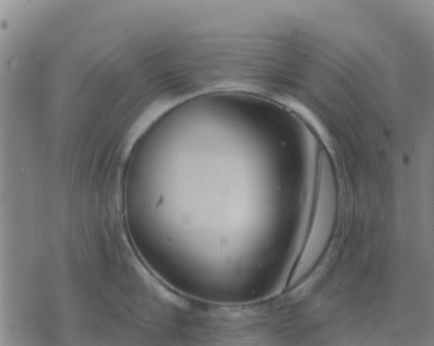 X0000074320910200609082004