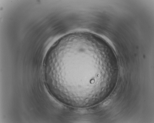 X0000074320911200609082004