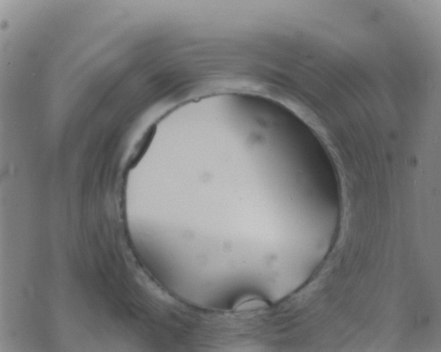 X0000074320912200609082004