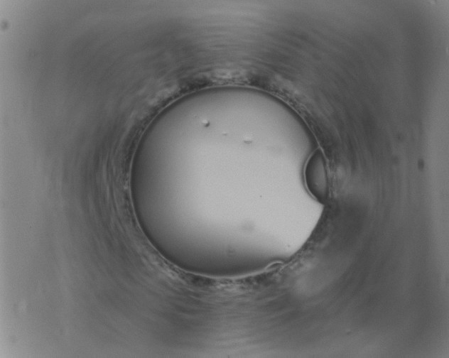 X0000074320913200609082003