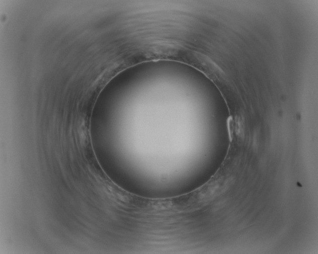 X0000074320915200609082003