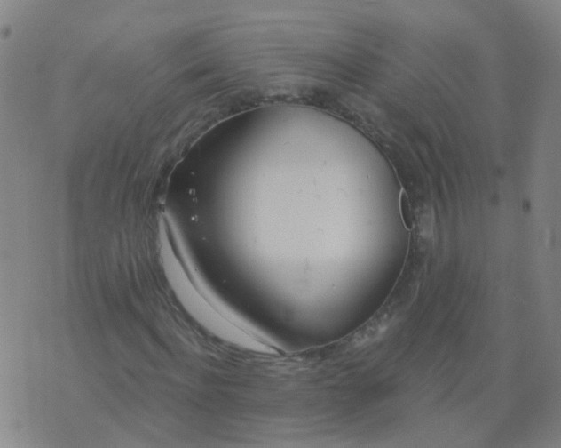 X0000074320916200609082003