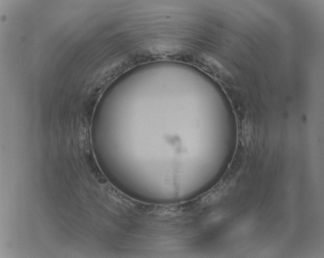 X0000074320917200609082003