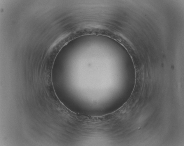 X0000074320919200609082003