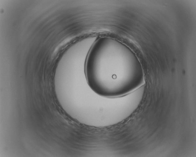 X0000074320920200609082003