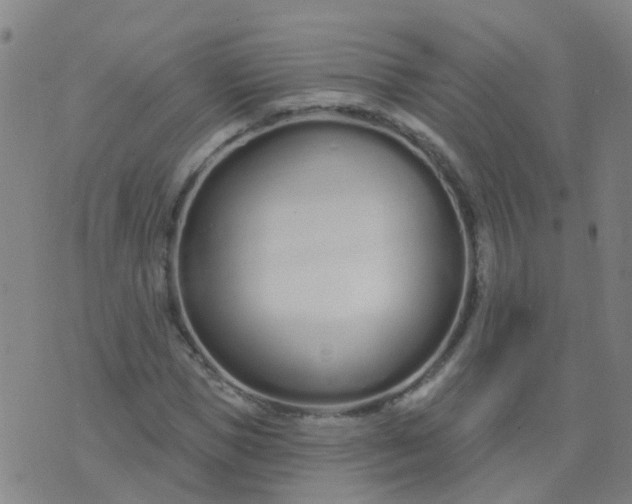 X0000074320921200609082003