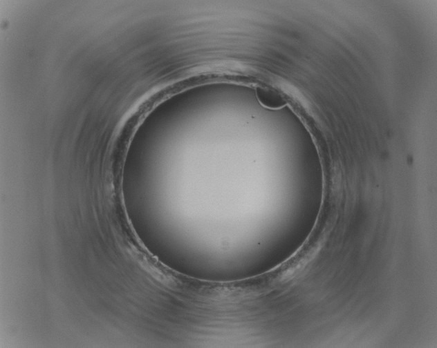 X0000074320923200609082003