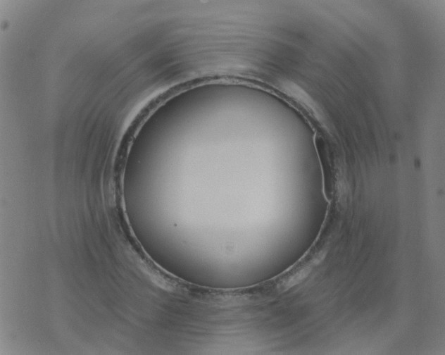 X0000074320924200609082003