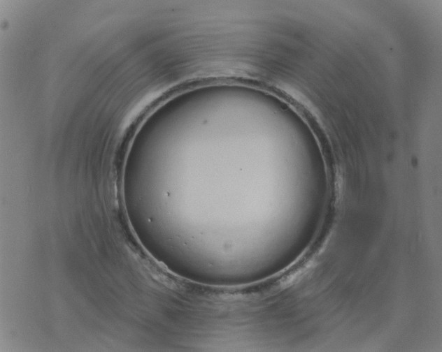 X0000074320925200609082003