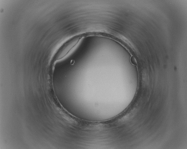 X0000074320926200609082003