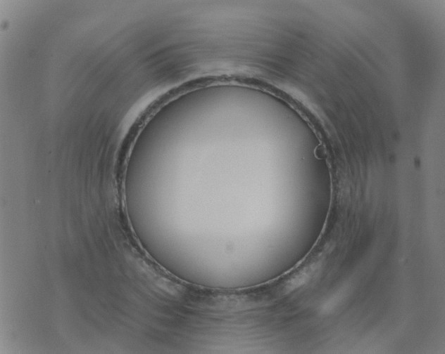 X0000074320927200609082003