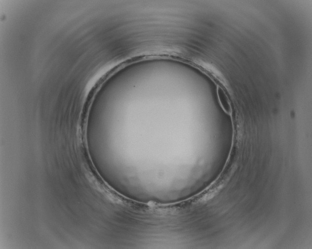 X0000074320928200609082003