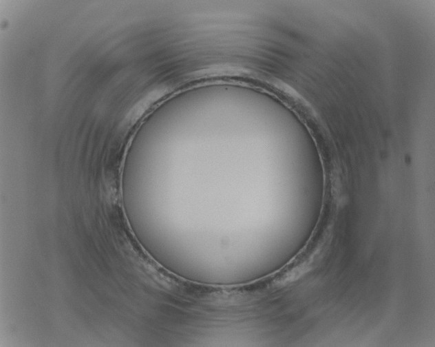 X0000074320929200609082003