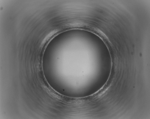 X0000074320930200609082003