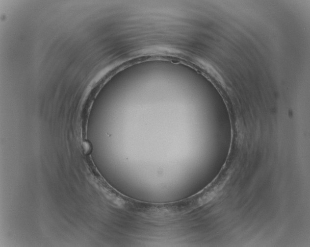 X0000074320931200609082003