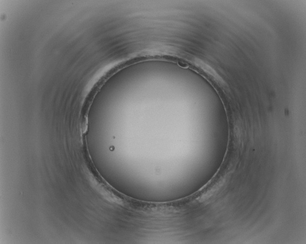 X0000074320934200609082003