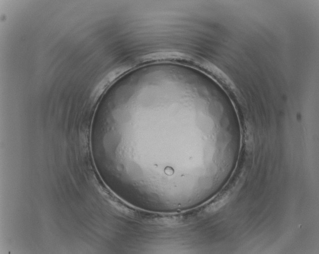 X0000074320937200609082003