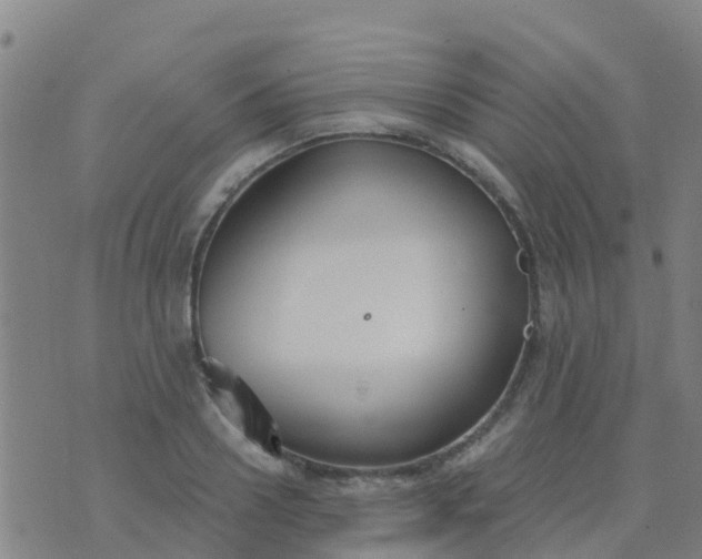 X0000074320938200609082003