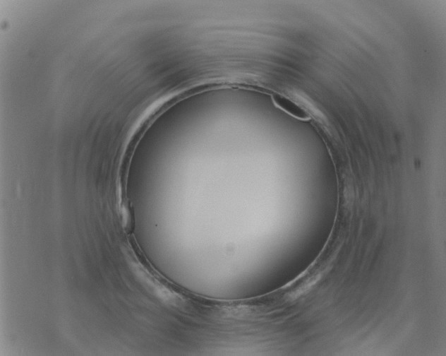 X0000074320940200609082003