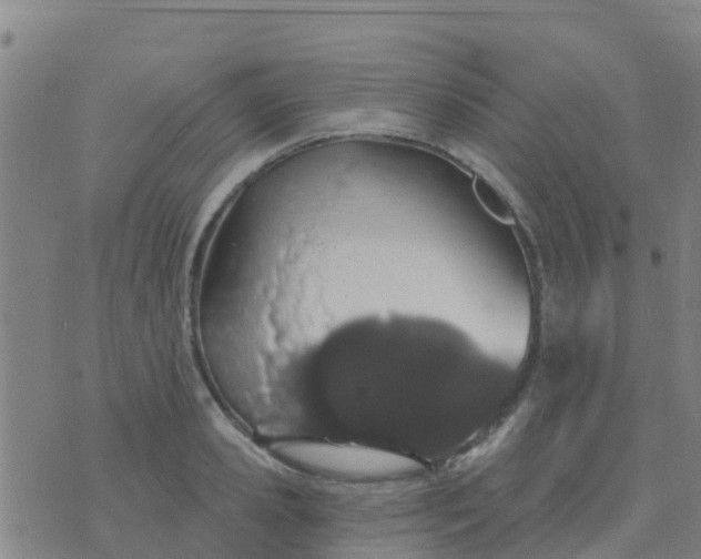 X0000074320941200609082003