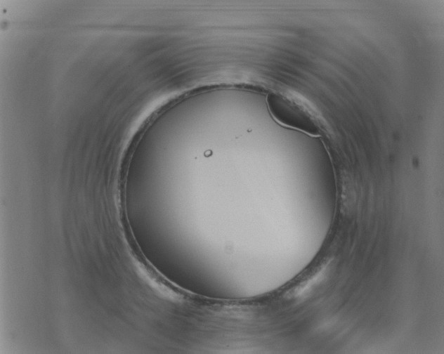 X0000074320942200609082003