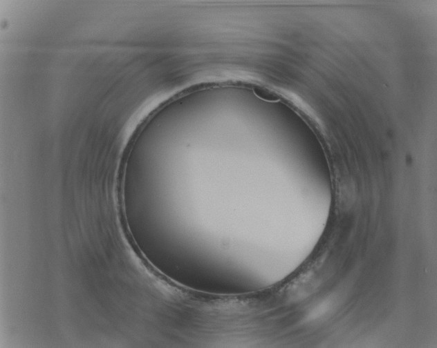 X0000074320943200609082003