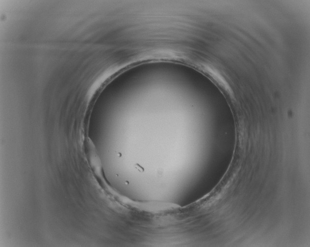 X0000074320944200609082003