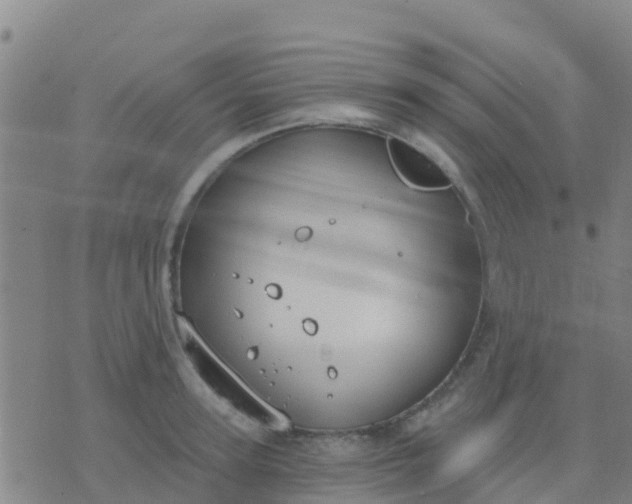 X0000074320947200609082003