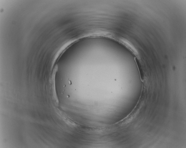 X0000074320948200609082004