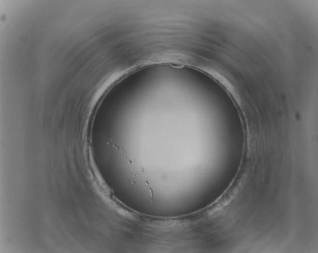 X0000074320949200609082004