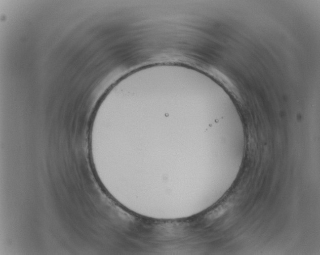 X0000074320950200609082004