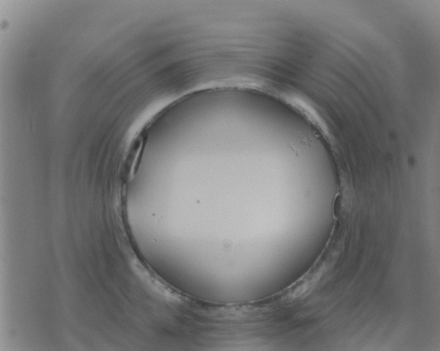 X0000074320952200609082004