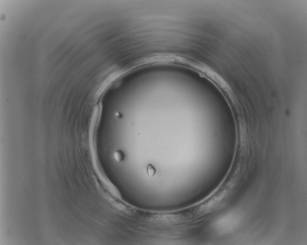 X0000074320953200609082004