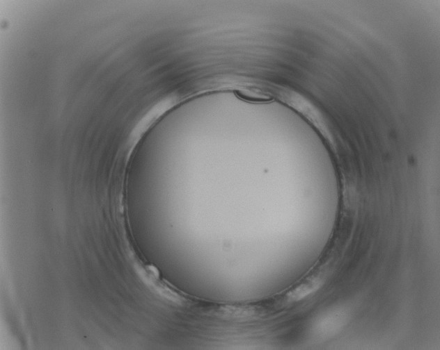 X0000074320954200609082004