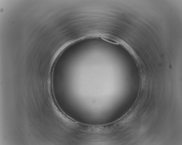 X0000074320955200609082004