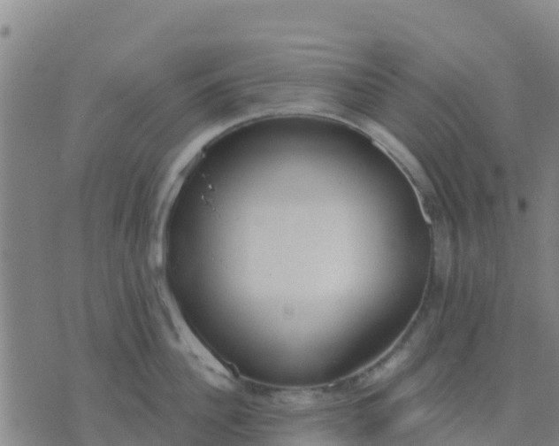 X0000074320956200609082004