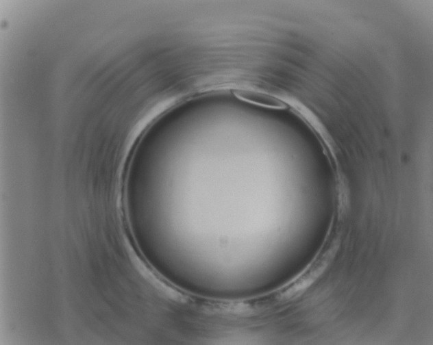 X0000074320957200609082004