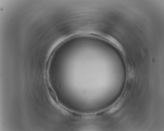 X0000074320958200609082004