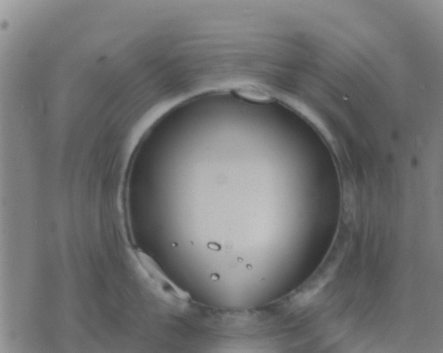 X0000074320959200609082004