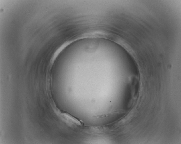 X0000074320960200609082004