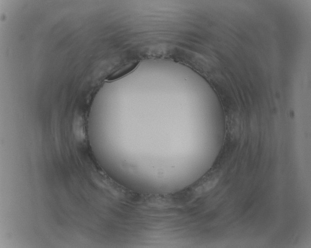 X0000074320962200609082003