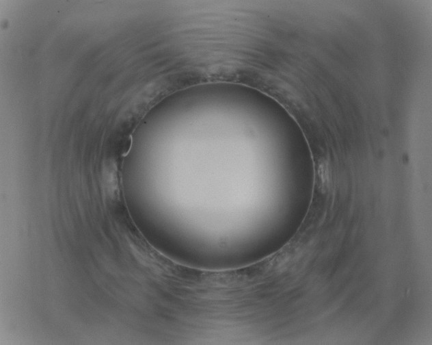 X0000074320963200609082003