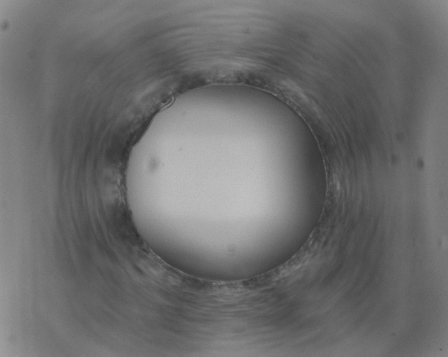 X0000074320964200609082003