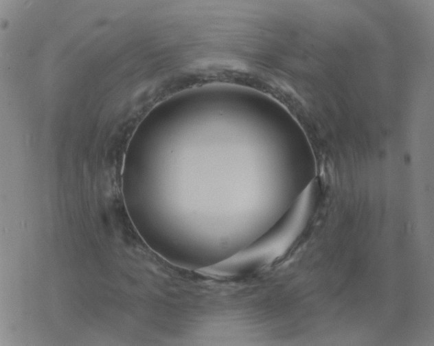 X0000074320965200609082003